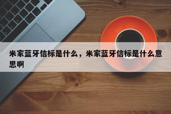 米家蓝牙信标是什么，米家蓝牙信标是什么意思啊-第1张图片