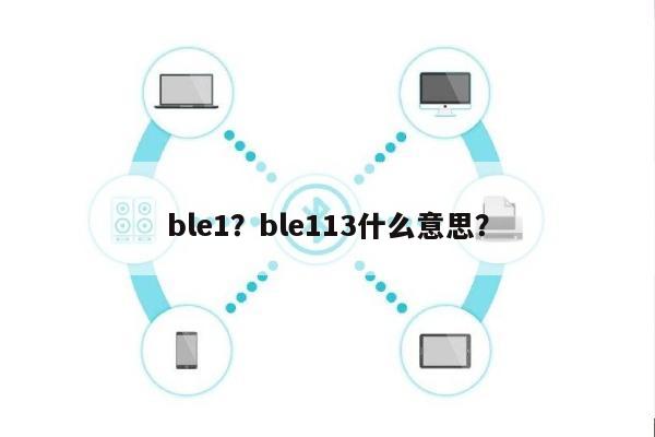 ble1？ble113什么意思？-第1张图片