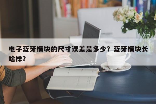 电子蓝牙模块的尺寸误差是多少？蓝牙模块长啥样？-第1张图片