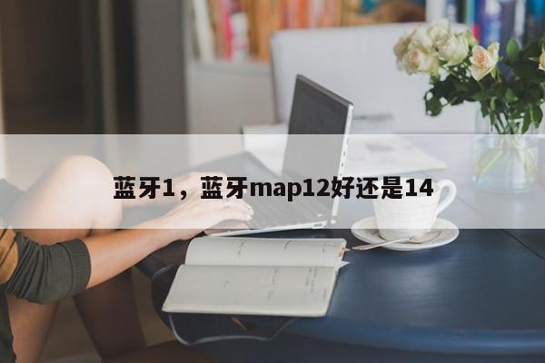 蓝牙1，蓝牙map12好还是14-第1张图片