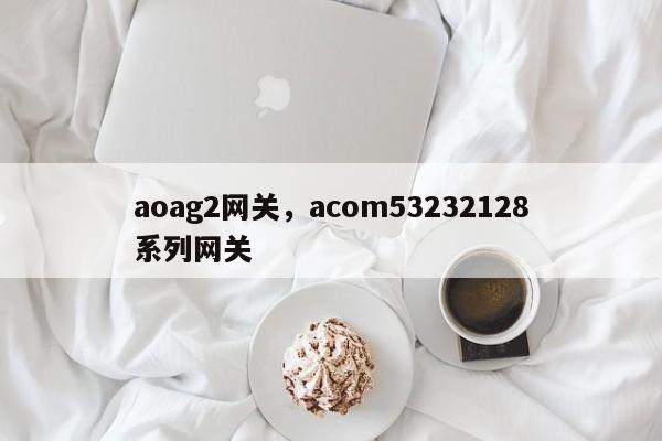 aoag2网关，acom53232128系列网关-第1张图片