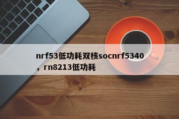 nrf53低功耗双核socnrf5340，rn8213低功耗-第1张图片