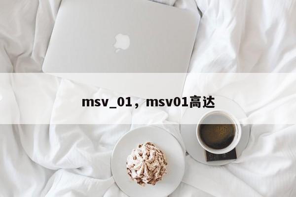 msv_01，msv01高达-第1张图片