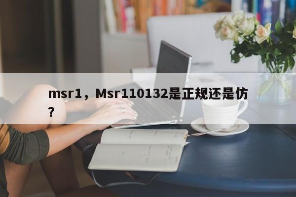 msr1，Msr110132是正规还是仿？-第1张图片