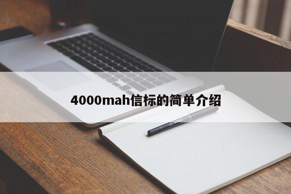 4000mah信标的简单介绍-第1张图片