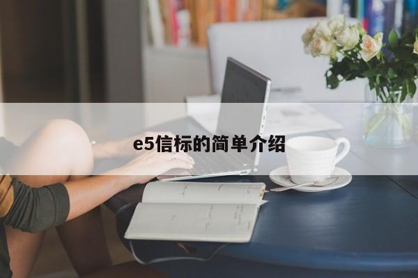 e5信标的简单介绍-第1张图片