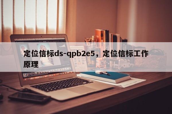 定位信标ds-qpb2e5，定位信标工作原理-第1张图片