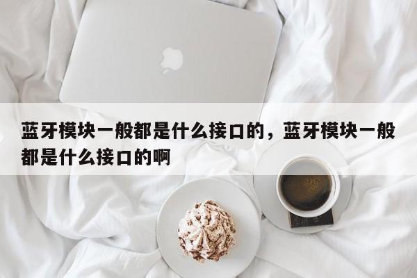 蓝牙模块一般都是什么接口的，蓝牙模块一般都是什么接口的啊-第1张图片