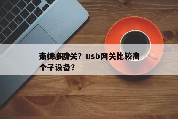 带usb网关？usb网关比较高
支持多少个子设备？-第1张图片