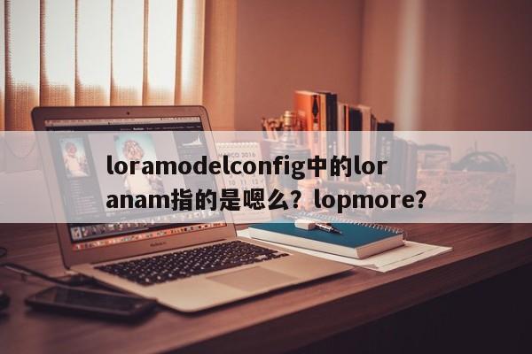 loramodelconfig中的loranam指的是嗯么？lopmore？-第1张图片