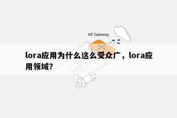 lora应用为什么这么受众广，lora应用领域？-第1张图片