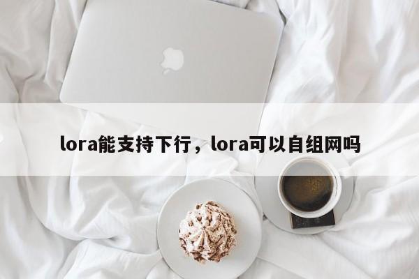 lora能支持下行，lora可以自组网吗-第1张图片