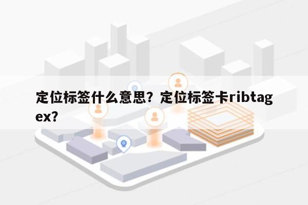 定位标签什么意思？定位标签卡ribtagex？-第1张图片