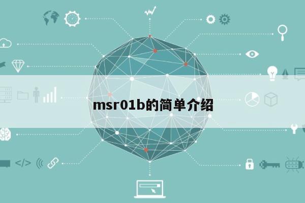 msr01b的简单介绍-第1张图片