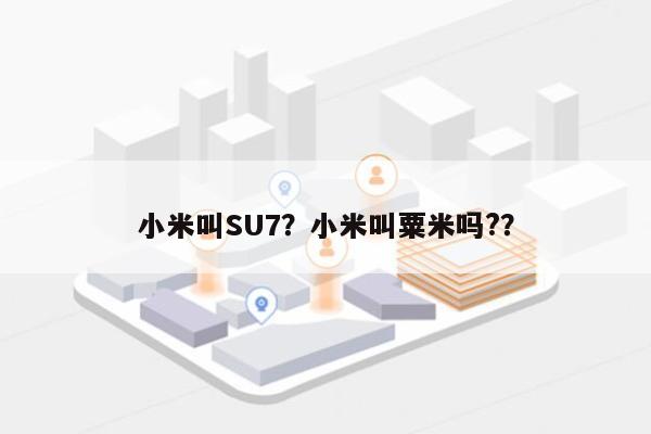 小米叫SU7？小米叫粟米吗?？-第1张图片