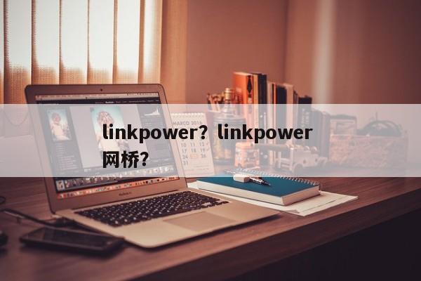 linkpower？linkpower 网桥？-第1张图片