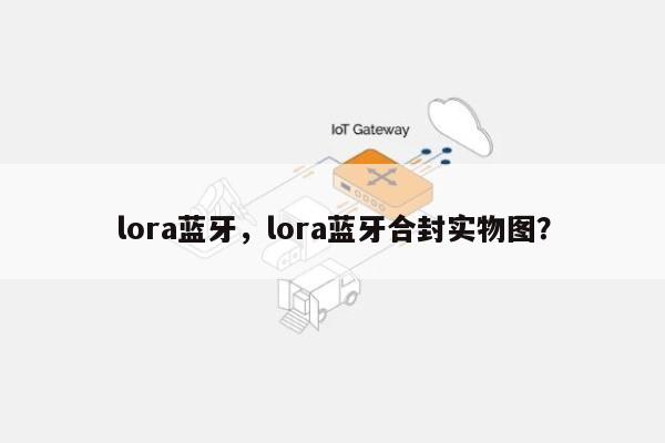 lora蓝牙，lora蓝牙合封实物图？-第1张图片