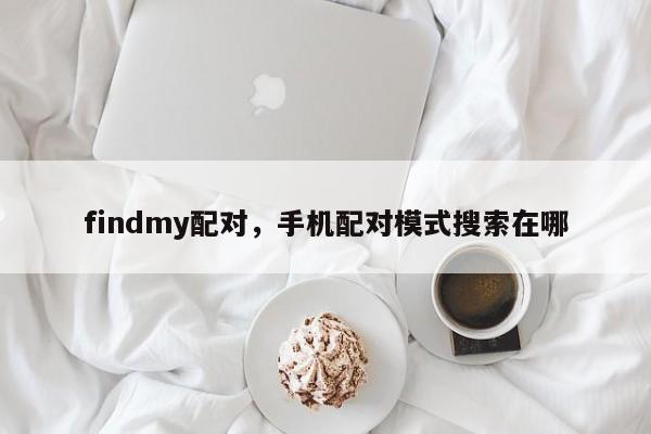 findmy配对，手机配对模式搜索在哪-第1张图片