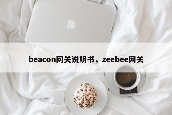 beacon网关说明书，zeebee网关-第1张图片