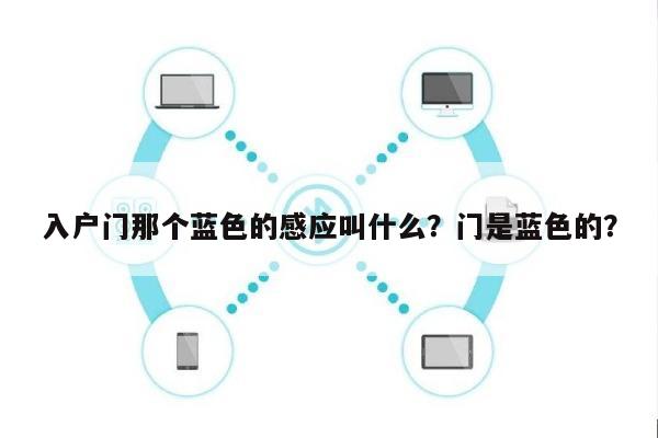 入户门那个蓝色的感应叫什么？门是蓝色的？-第1张图片