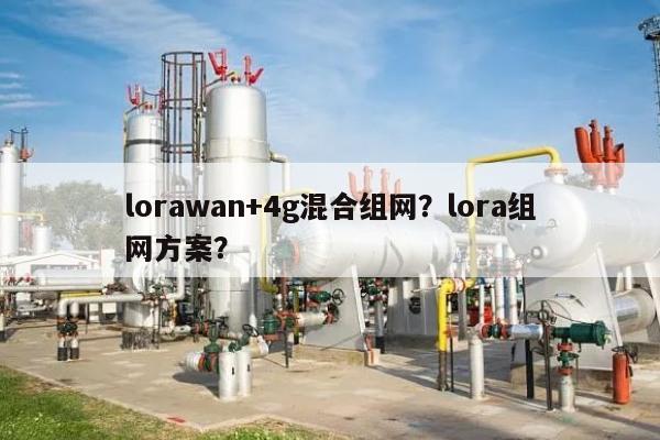 lorawan+4g混合组网？lora组网方案？-第1张图片