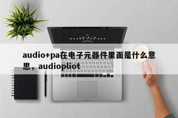 audio+pa在电子元器件里面是什么意思，audiopliot-第1张图片