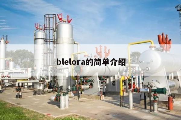 blelora的简单介绍-第1张图片