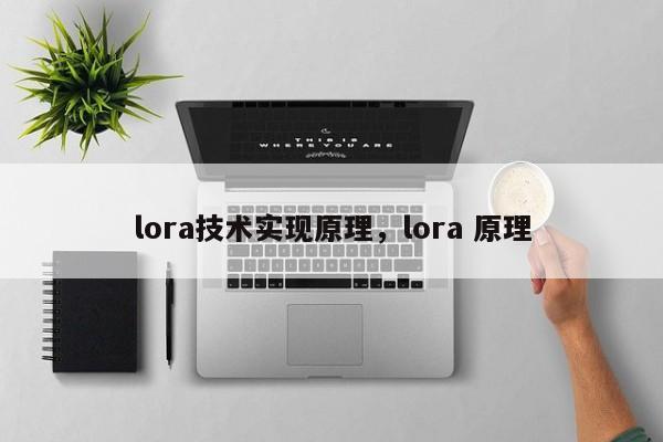 lora技术实现原理，lora 原理-第1张图片
