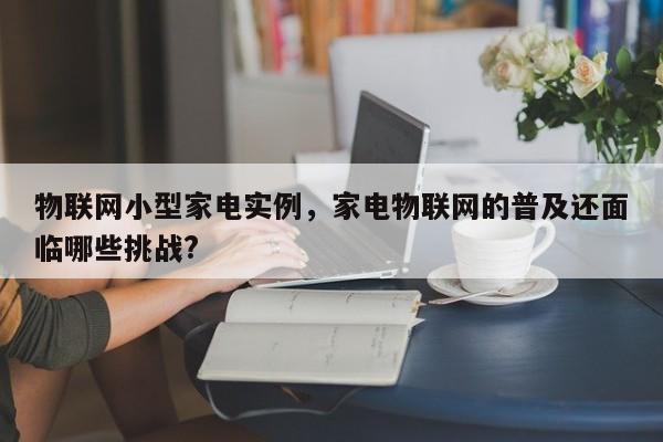 物联网小型家电实例，家电物联网的普及还面临哪些挑战?-第1张图片