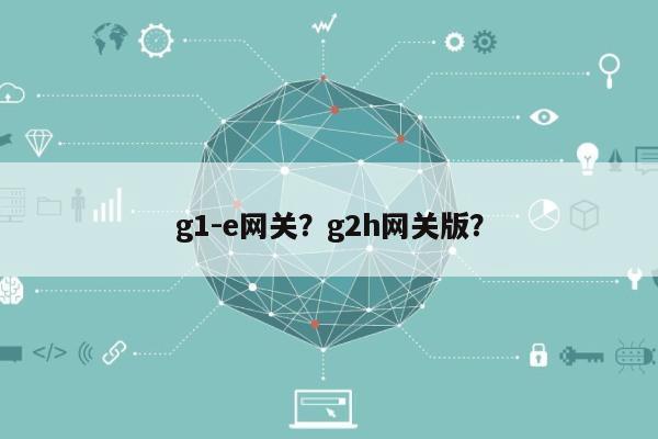 g1-e网关？g2h网关版？-第1张图片