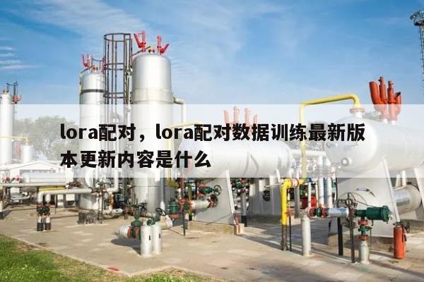 lora配对，lora配对数据训练最新版本更新内容是什么-第1张图片