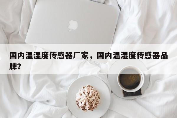 国内温湿度传感器厂家，国内温湿度传感器品牌？-第1张图片
