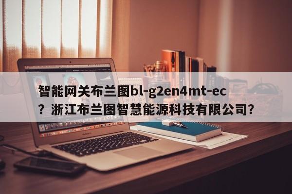 智能网关布兰图bl-g2en4mt-ec？浙江布兰图智慧能源科技有限公司？-第1张图片