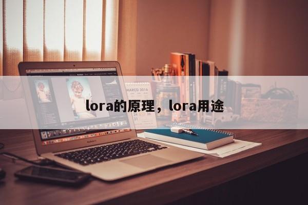 lora的原理，lora用途-第1张图片