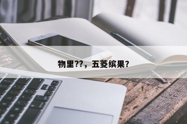 物里??，五菱缤果？-第1张图片