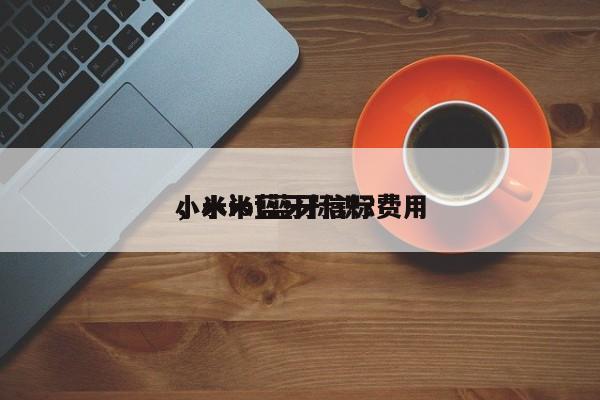 小米iot蓝牙信标费用
，小米蓝牙标识？-第1张图片