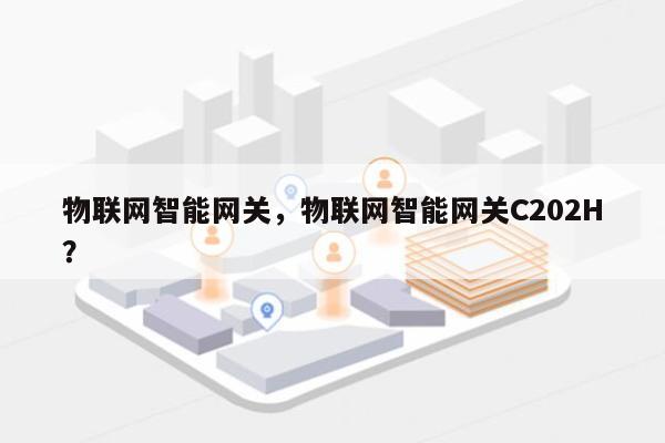 物联网智能网关，物联网智能网关C202H？-第1张图片