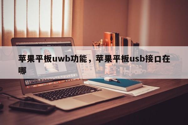 苹果平板uwb功能，苹果平板usb接口在哪-第1张图片