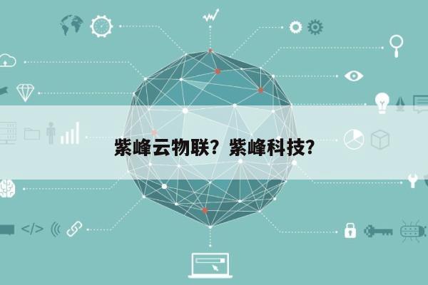 紫峰云物联？紫峰科技？-第1张图片