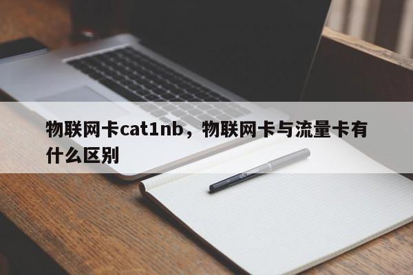 物联网卡cat1nb，物联网卡与流量卡有什么区别-第1张图片