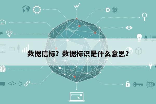 数据信标？数据标识是什么意思？-第1张图片