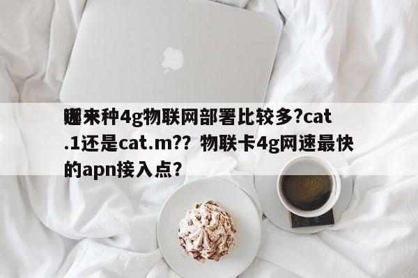 近来
哪一种4g物联网部署比较多?cat.1还是cat.m?？物联卡4g网速最快的apn接入点？-第1张图片