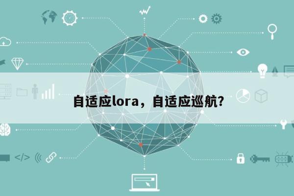 自适应lora，自适应巡航？-第1张图片