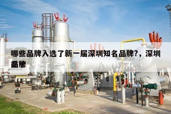 哪些品牌入选了新一届深圳知名品牌?，深圳前十
品牌-第1张图片
