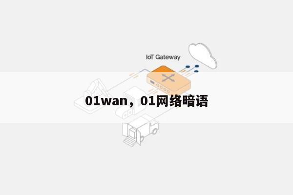 01wan，01网络暗语-第1张图片