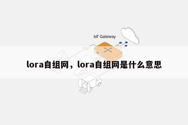 lora自组网，lora自组网是什么意思-第1张图片