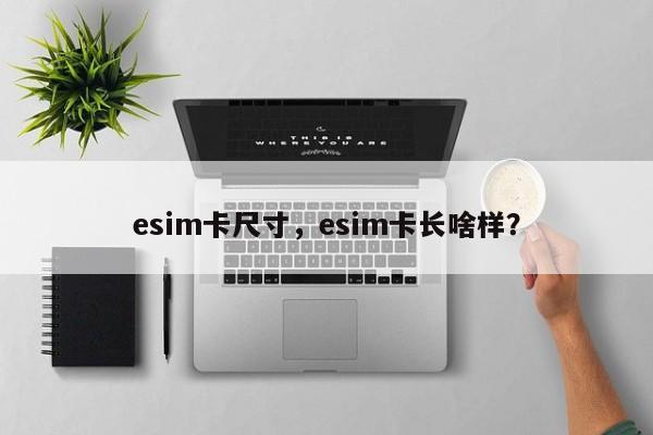 esim卡尺寸，esim卡长啥样？-第1张图片