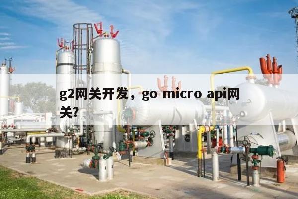 g2网关开发，go micro api网关？-第1张图片