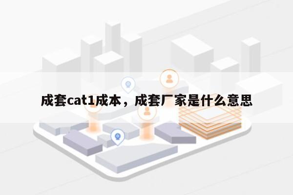 成套cat1成本，成套厂家是什么意思-第1张图片