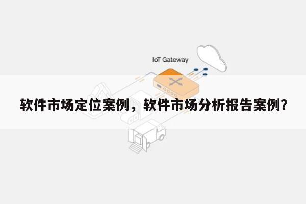 软件市场定位案例，软件市场分析报告案例？-第1张图片